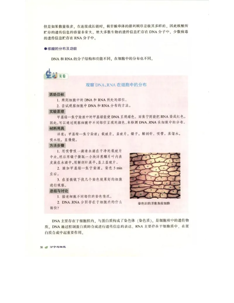 北师大版高中生物必修1电子课本_4-教培资料-26年最新资料-同步更新_初中高中教资_03科三专项（进去保存报考的学科即可）_02科三专项（笔记真题思维导图教学设计版本二）