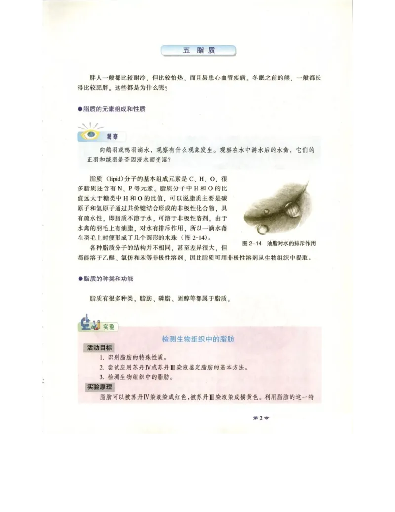 北师大版高中生物必修1电子课本_4-教培资料-26年最新资料-同步更新_初中高中教资_03科三专项（进去保存报考的学科即可）_02科三专项（笔记真题思维导图教学设计版本二）