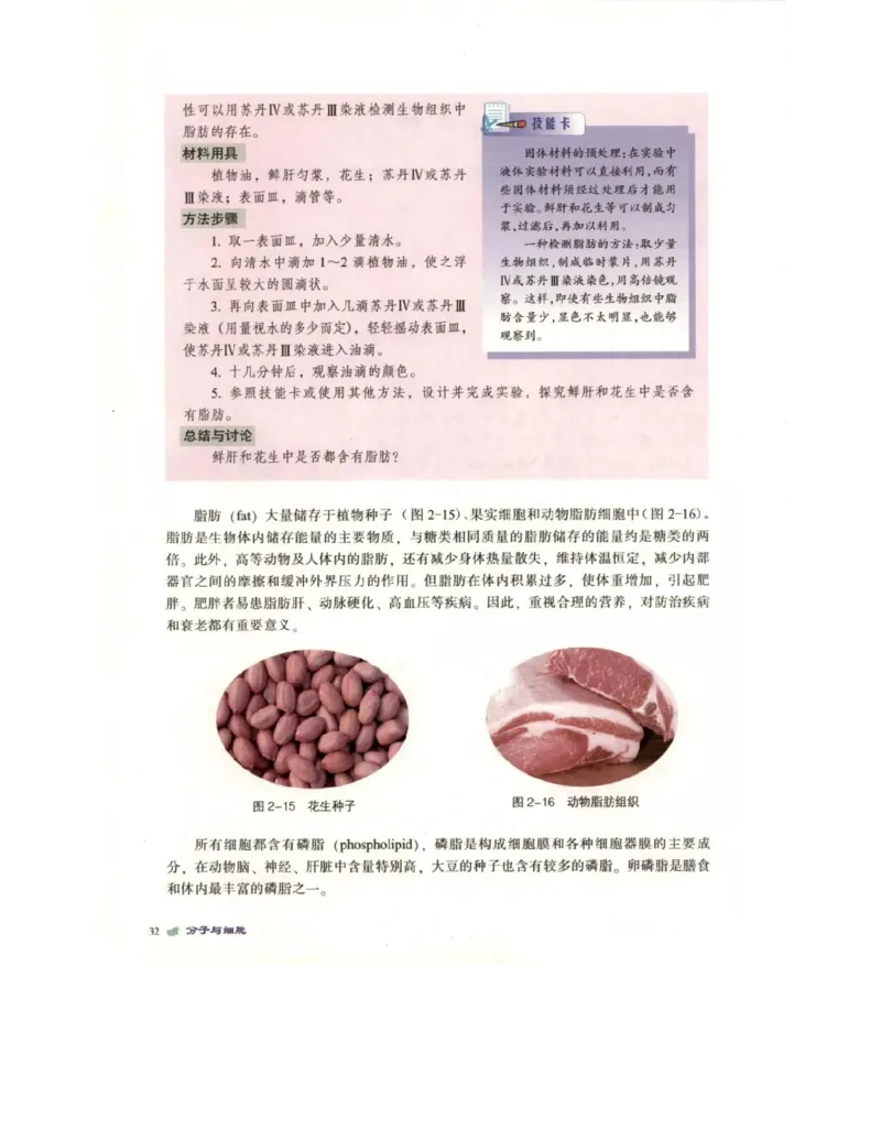 北师大版高中生物必修1电子课本_4-教培资料-26年最新资料-同步更新_初中高中教资_03科三专项（进去保存报考的学科即可）_02科三专项（笔记真题思维导图教学设计版本二）