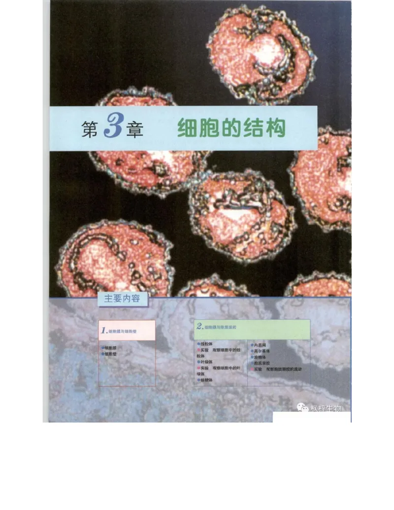 北师大版高中生物必修1电子课本_4-教培资料-26年最新资料-同步更新_初中高中教资_03科三专项（进去保存报考的学科即可）_02科三专项（笔记真题思维导图教学设计版本二）