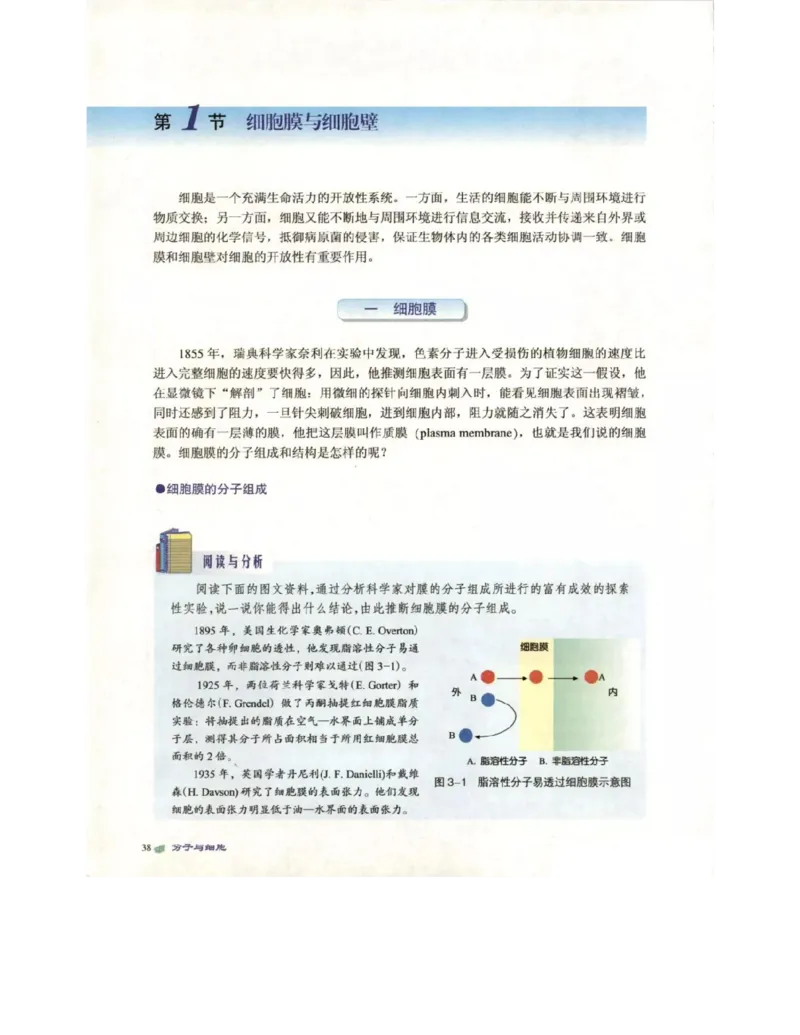 北师大版高中生物必修1电子课本_4-教培资料-26年最新资料-同步更新_初中高中教资_03科三专项（进去保存报考的学科即可）_02科三专项（笔记真题思维导图教学设计版本二）