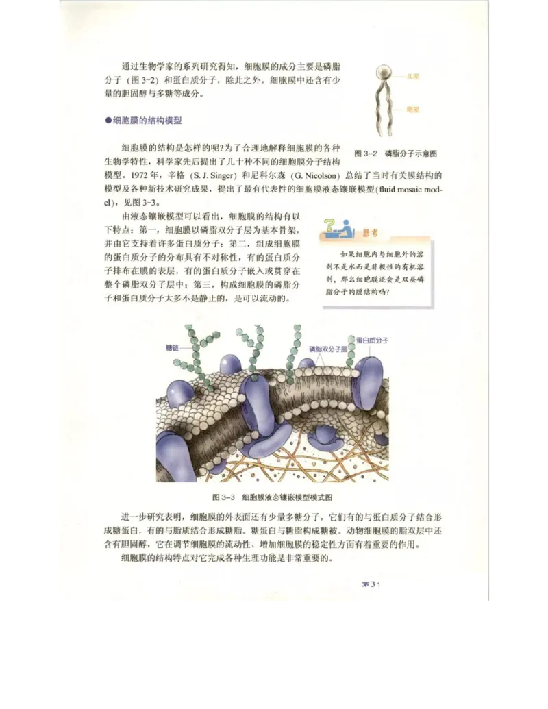 北师大版高中生物必修1电子课本_4-教培资料-26年最新资料-同步更新_初中高中教资_03科三专项（进去保存报考的学科即可）_02科三专项（笔记真题思维导图教学设计版本二）
