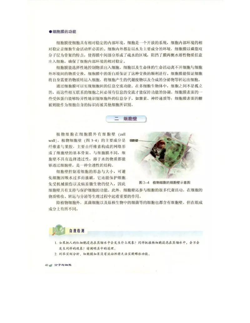 北师大版高中生物必修1电子课本_4-教培资料-26年最新资料-同步更新_初中高中教资_03科三专项（进去保存报考的学科即可）_02科三专项（笔记真题思维导图教学设计版本二）