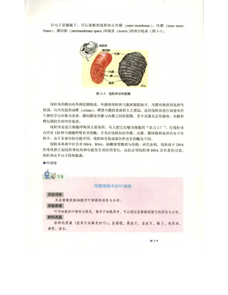 北师大版高中生物必修1电子课本_4-教培资料-26年最新资料-同步更新_初中高中教资_03科三专项（进去保存报考的学科即可）_02科三专项（笔记真题思维导图教学设计版本二）