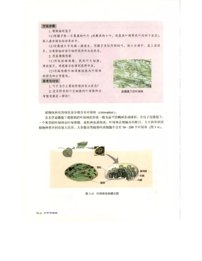 北师大版高中生物必修1电子课本_4-教培资料-26年最新资料-同步更新_初中高中教资_03科三专项（进去保存报考的学科即可）_02科三专项（笔记真题思维导图教学设计版本二）