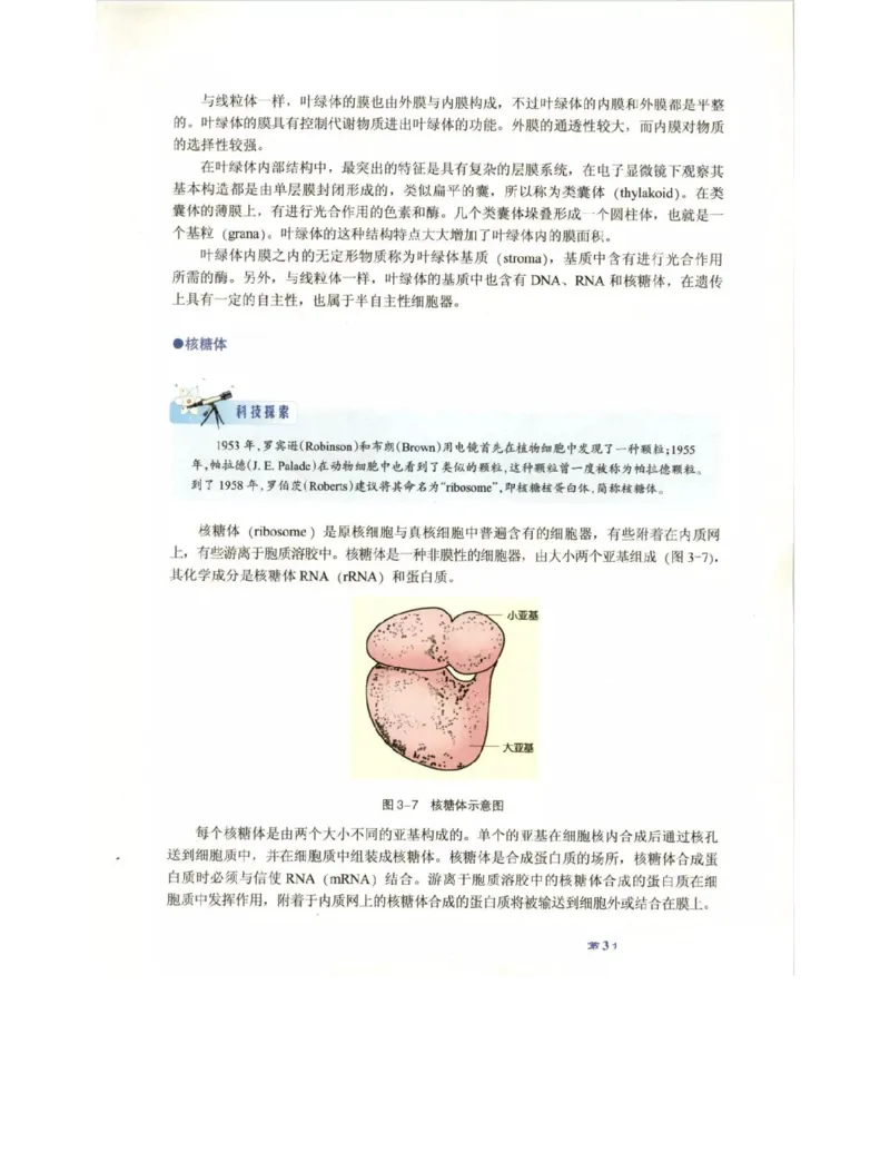 北师大版高中生物必修1电子课本_4-教培资料-26年最新资料-同步更新_初中高中教资_03科三专项（进去保存报考的学科即可）_02科三专项（笔记真题思维导图教学设计版本二）