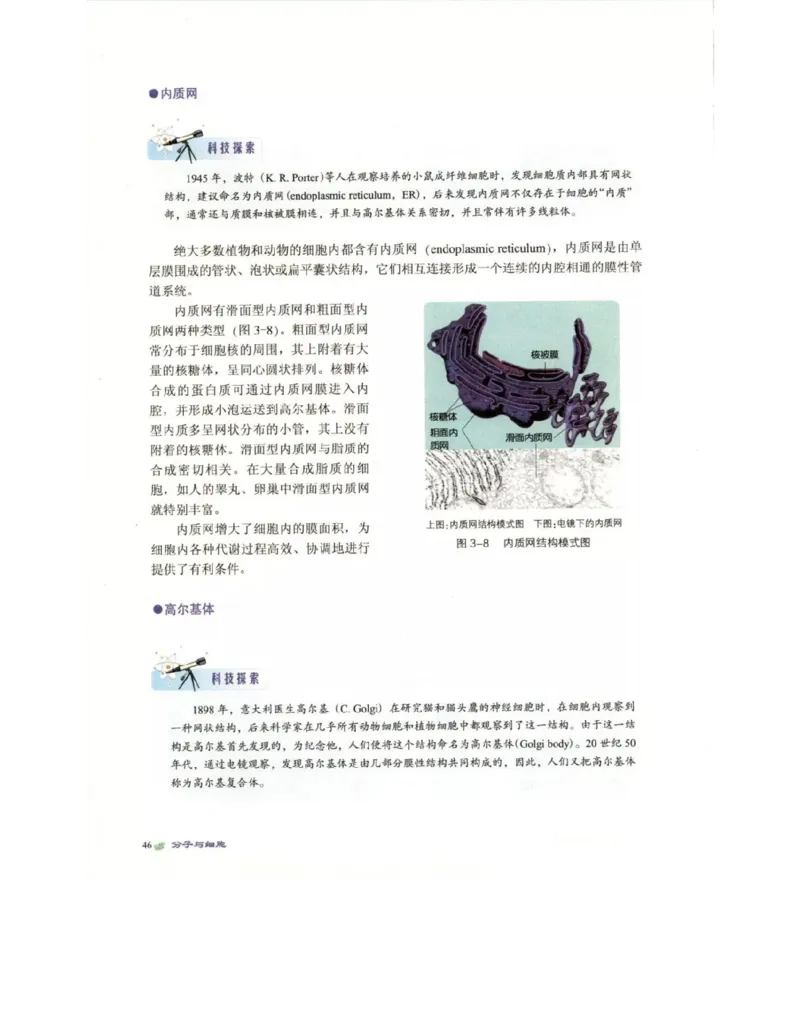 北师大版高中生物必修1电子课本_4-教培资料-26年最新资料-同步更新_初中高中教资_03科三专项（进去保存报考的学科即可）_02科三专项（笔记真题思维导图教学设计版本二）