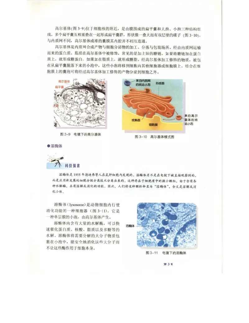北师大版高中生物必修1电子课本_4-教培资料-26年最新资料-同步更新_初中高中教资_03科三专项（进去保存报考的学科即可）_02科三专项（笔记真题思维导图教学设计版本二）