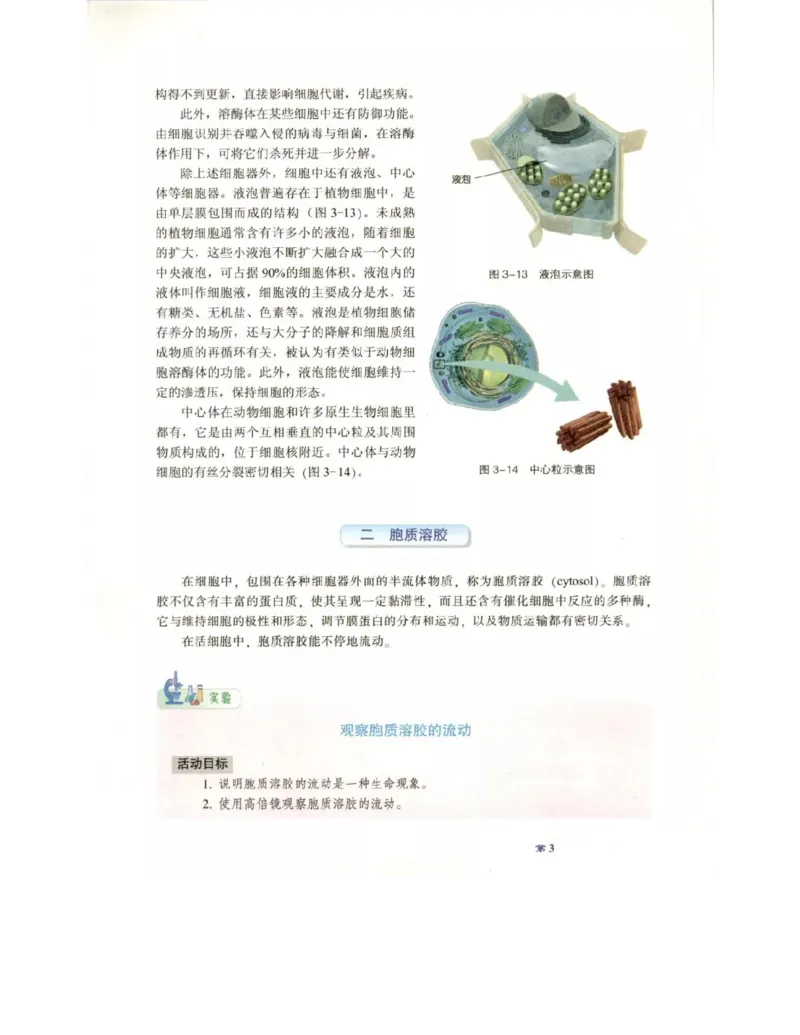 北师大版高中生物必修1电子课本_4-教培资料-26年最新资料-同步更新_初中高中教资_03科三专项（进去保存报考的学科即可）_02科三专项（笔记真题思维导图教学设计版本二）