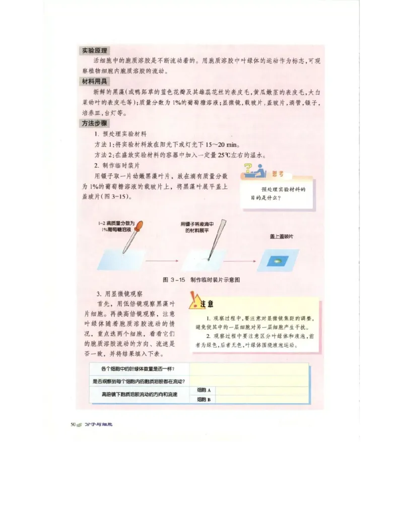 北师大版高中生物必修1电子课本_4-教培资料-26年最新资料-同步更新_初中高中教资_03科三专项（进去保存报考的学科即可）_02科三专项（笔记真题思维导图教学设计版本二）