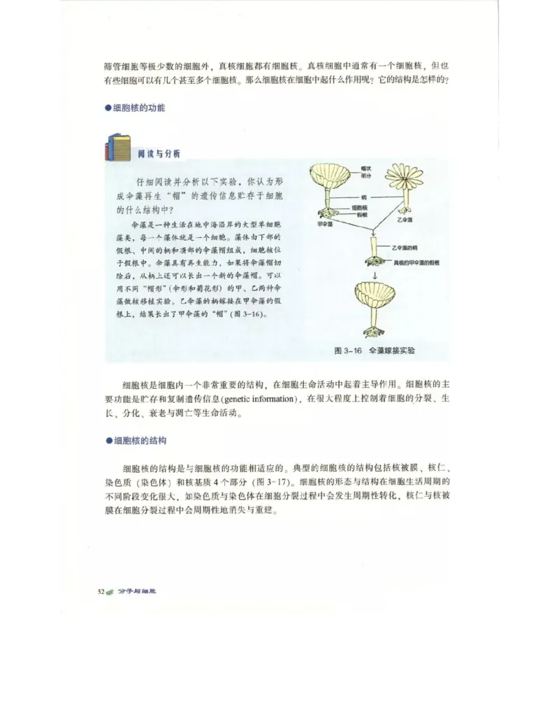 北师大版高中生物必修1电子课本_4-教培资料-26年最新资料-同步更新_初中高中教资_03科三专项（进去保存报考的学科即可）_02科三专项（笔记真题思维导图教学设计版本二）