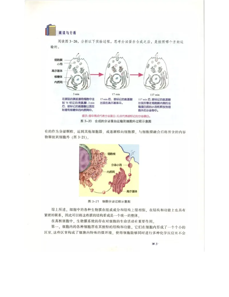 北师大版高中生物必修1电子课本_4-教培资料-26年最新资料-同步更新_初中高中教资_03科三专项（进去保存报考的学科即可）_02科三专项（笔记真题思维导图教学设计版本二）