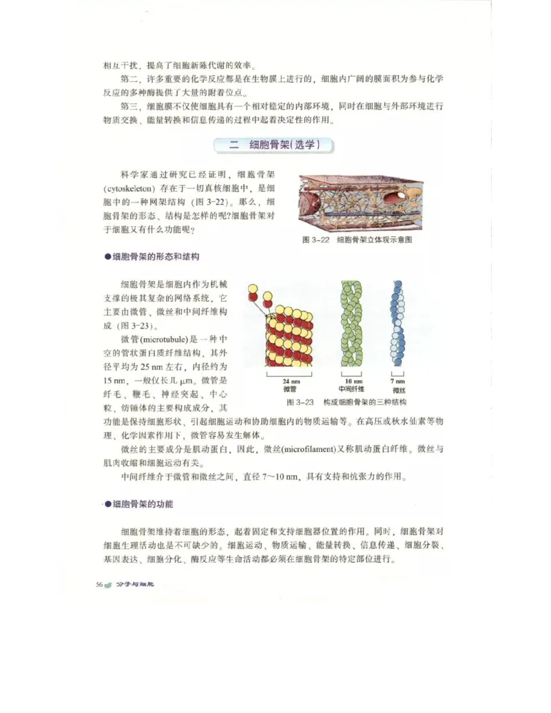 北师大版高中生物必修1电子课本_4-教培资料-26年最新资料-同步更新_初中高中教资_03科三专项（进去保存报考的学科即可）_02科三专项（笔记真题思维导图教学设计版本二）