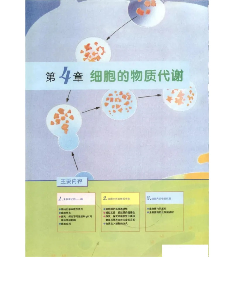 北师大版高中生物必修1电子课本_4-教培资料-26年最新资料-同步更新_初中高中教资_03科三专项（进去保存报考的学科即可）_02科三专项（笔记真题思维导图教学设计版本二）