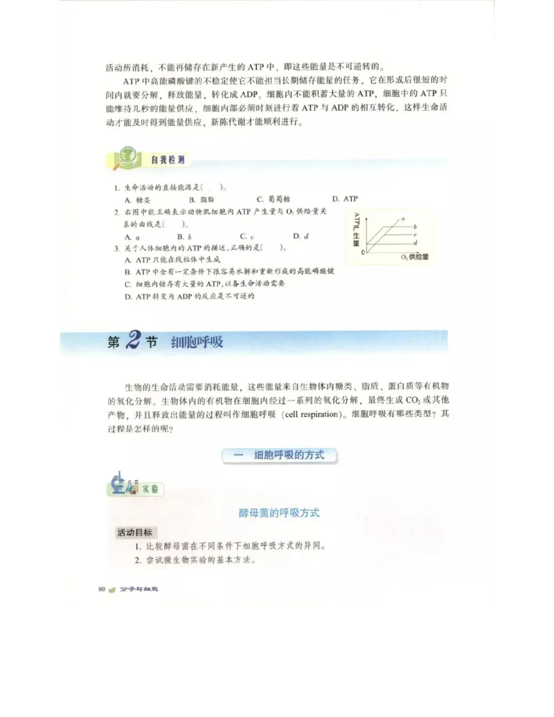 北师大版高中生物必修1电子课本_4-教培资料-26年最新资料-同步更新_初中高中教资_03科三专项（进去保存报考的学科即可）_02科三专项（笔记真题思维导图教学设计版本二）