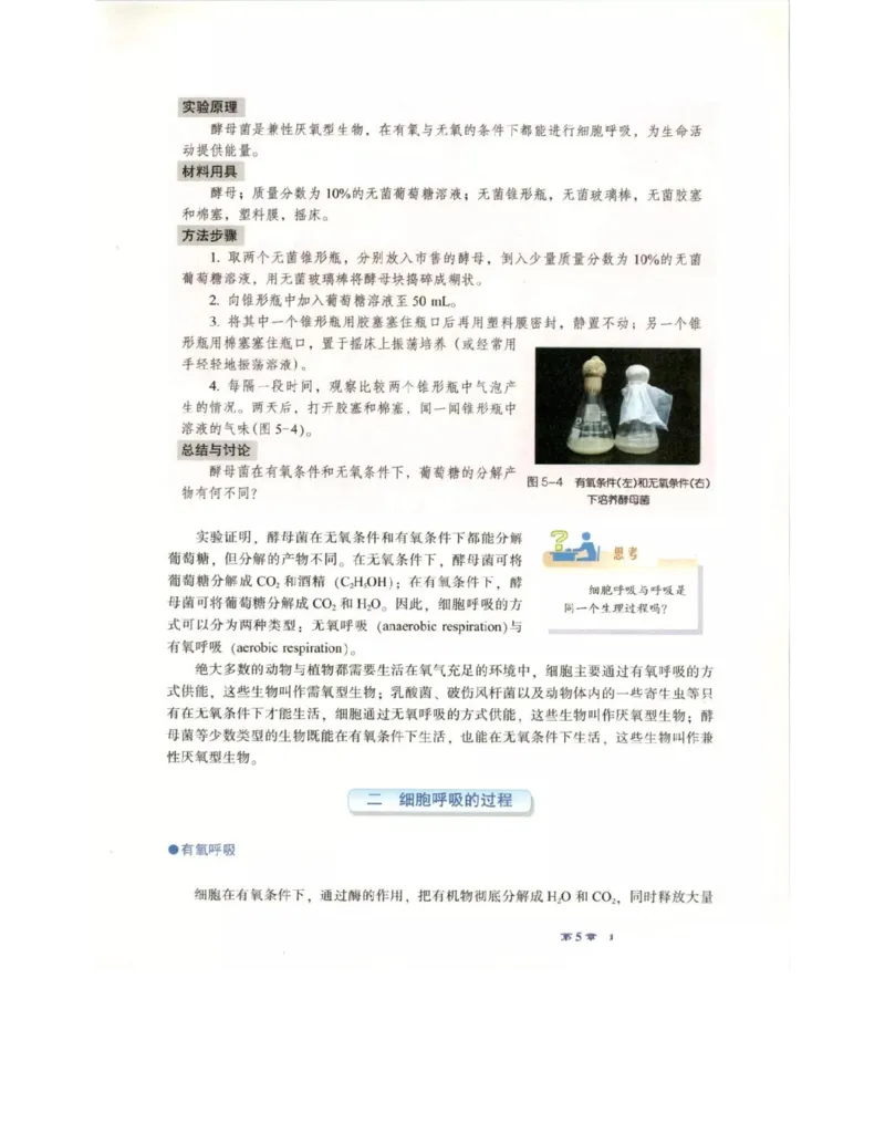 北师大版高中生物必修1电子课本_4-教培资料-26年最新资料-同步更新_初中高中教资_03科三专项（进去保存报考的学科即可）_02科三专项（笔记真题思维导图教学设计版本二）
