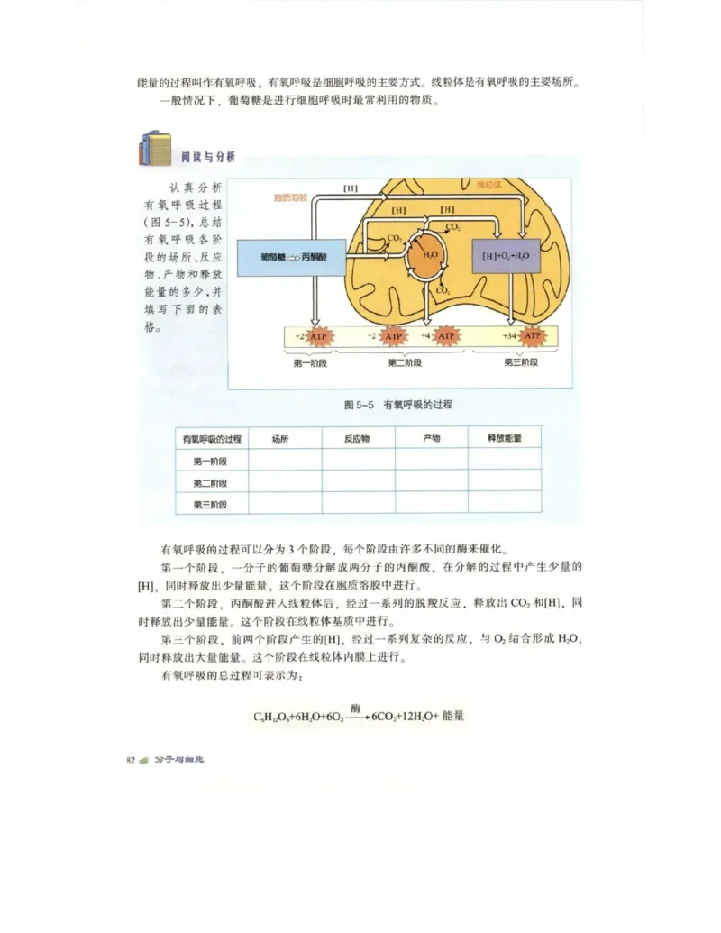 北师大版高中生物必修1电子课本_4-教培资料-26年最新资料-同步更新_初中高中教资_03科三专项（进去保存报考的学科即可）_02科三专项（笔记真题思维导图教学设计版本二）