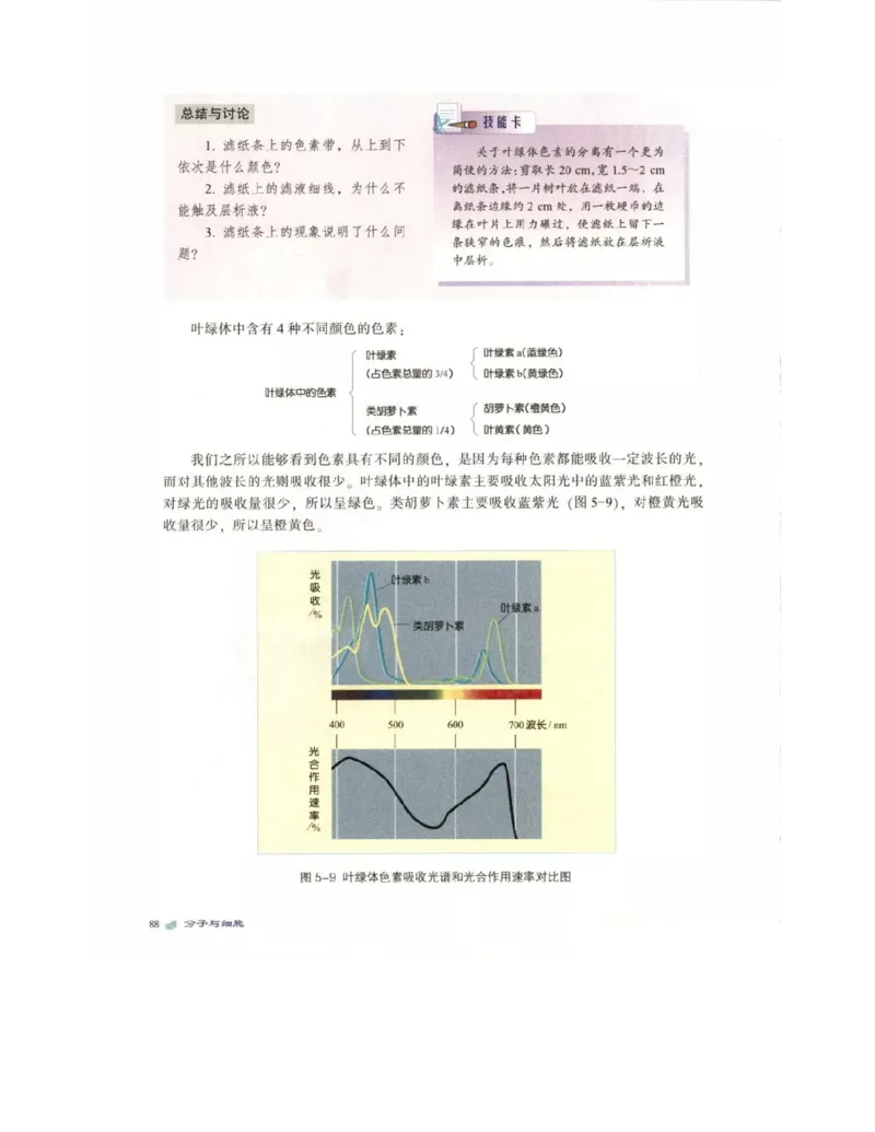 北师大版高中生物必修1电子课本_4-教培资料-26年最新资料-同步更新_初中高中教资_03科三专项（进去保存报考的学科即可）_02科三专项（笔记真题思维导图教学设计版本二）