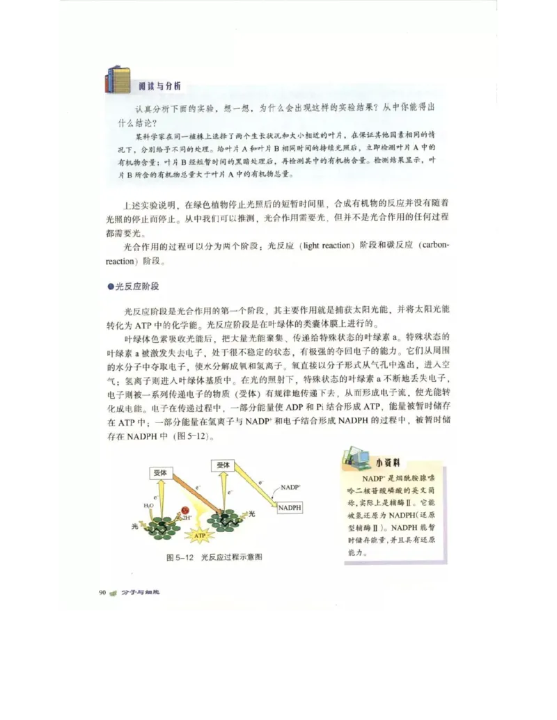 北师大版高中生物必修1电子课本_4-教培资料-26年最新资料-同步更新_初中高中教资_03科三专项（进去保存报考的学科即可）_02科三专项（笔记真题思维导图教学设计版本二）