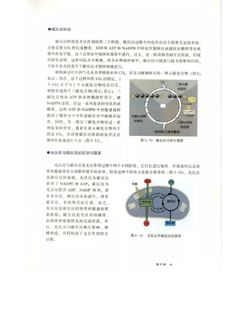 北师大版高中生物必修1电子课本_4-教培资料-26年最新资料-同步更新_初中高中教资_03科三专项（进去保存报考的学科即可）_02科三专项（笔记真题思维导图教学设计版本二）