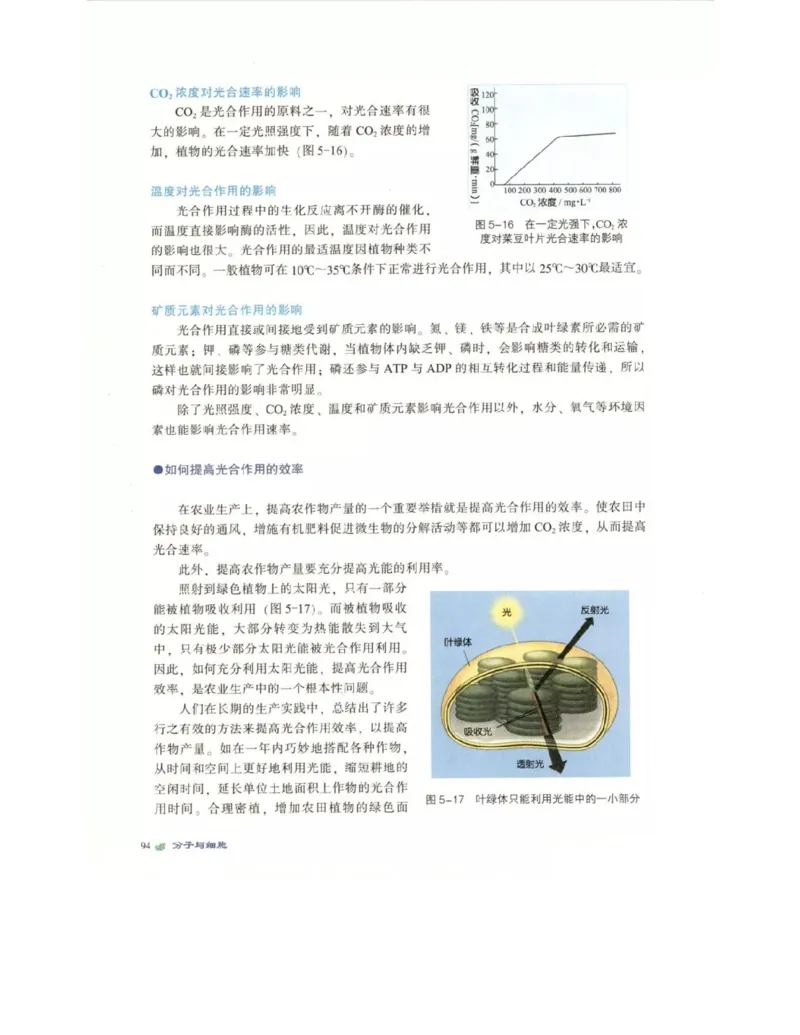 北师大版高中生物必修1电子课本_4-教培资料-26年最新资料-同步更新_初中高中教资_03科三专项（进去保存报考的学科即可）_02科三专项（笔记真题思维导图教学设计版本二）