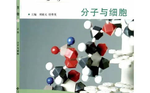 北师大版高中生物必修1电子课本_4-教培资料-26年最新资料-同步更新_初中高中教资_03科三专项（进去保存报考的学科即可）_02科三专项（笔记真题思维导图教学设计版本二）