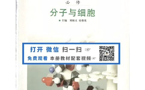 北师大版高中生物必修1电子课本_4-教培资料-26年最新资料-同步更新_初中高中教资_03科三专项（进去保存报考的学科即可）_02科三专项（笔记真题思维导图教学设计版本二）