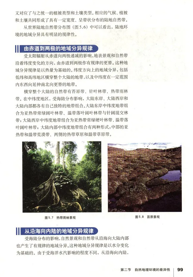 人教版高中地理必修1_4-教培资料-26年最新资料-同步更新_初中高中教资_03科三专项（进去保存报考的学科即可）_02科三专项（笔记真题思维导图教学设计版本二）