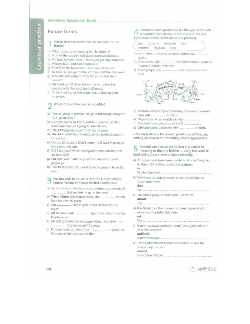 北师大版高中英语选修模块11电子课本_4-教培资料-26年最新资料-同步更新_初中高中教资_03科三专项（进去保存报考的学科即可）_02科三专项（笔记真题思维导图教学设计版本二）