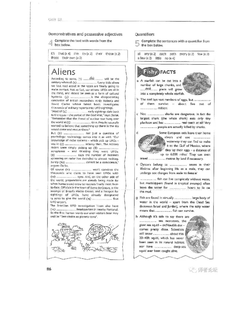 北师大版高中英语选修模块11电子课本_4-教培资料-26年最新资料-同步更新_初中高中教资_03科三专项（进去保存报考的学科即可）_02科三专项（笔记真题思维导图教学设计版本二）
