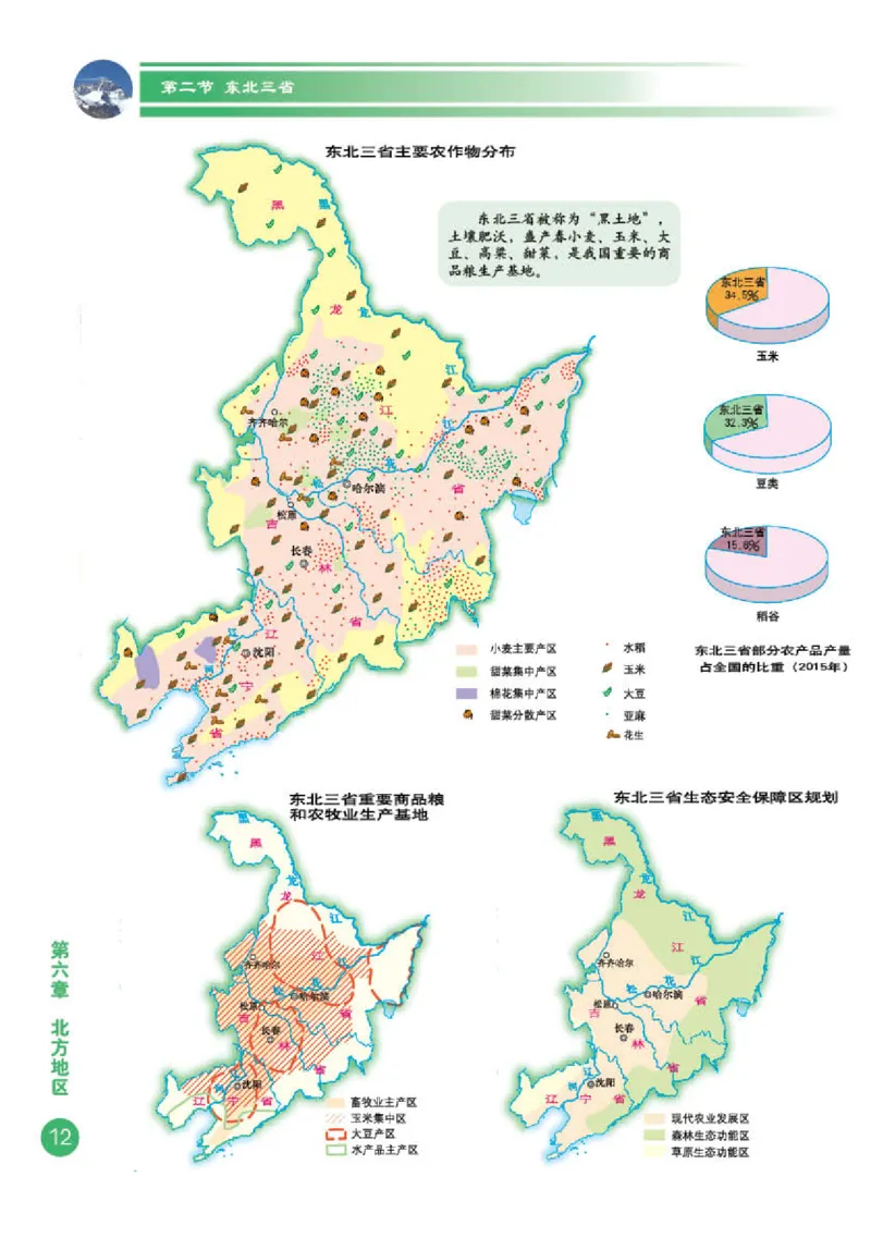 商务版8年级地理下册地理图册_4-教培资料-26年最新资料-同步更新_初中高中教资_03科三专项（进去保存报考的学科即可）_02科三专项（笔记真题思维导图教学设计版本二）
