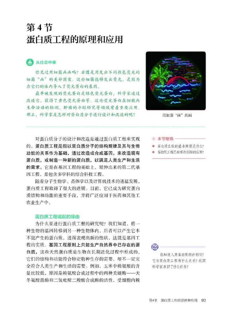 人教版生物选修3高清教材_4-教培资料-26年最新资料-同步更新_初中高中教资_03科三专项（进去保存报考的学科即可）_02科三专项（笔记真题思维导图教学设计版本二）