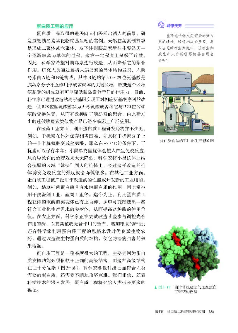人教版生物选修3高清教材_4-教培资料-26年最新资料-同步更新_初中高中教资_03科三专项（进去保存报考的学科即可）_02科三专项（笔记真题思维导图教学设计版本二）