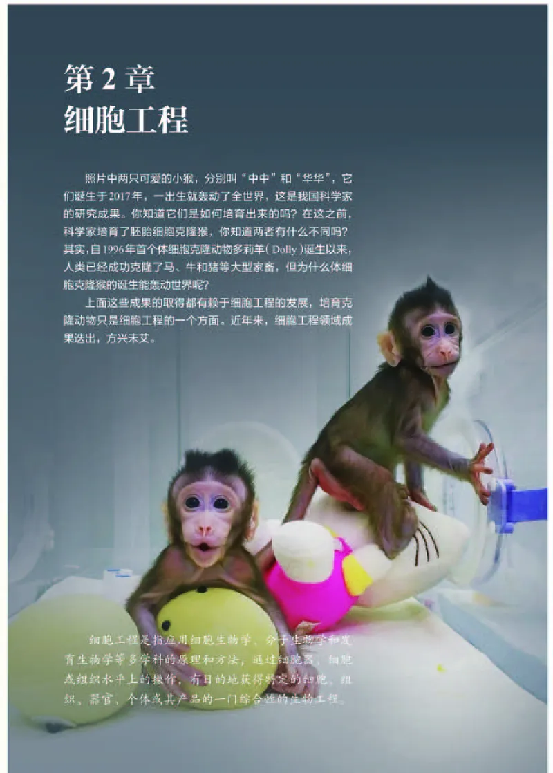 人教版生物选修3高清教材_4-教培资料-26年最新资料-同步更新_初中高中教资_03科三专项（进去保存报考的学科即可）_02科三专项（笔记真题思维导图教学设计版本二）