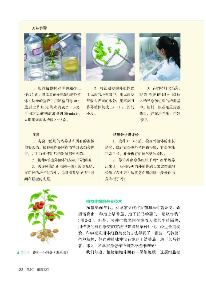 人教版生物选修3高清教材_4-教培资料-26年最新资料-同步更新_初中高中教资_03科三专项（进去保存报考的学科即可）_02科三专项（笔记真题思维导图教学设计版本二）