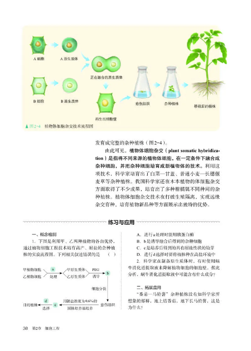 人教版生物选修3高清教材_4-教培资料-26年最新资料-同步更新_初中高中教资_03科三专项（进去保存报考的学科即可）_02科三专项（笔记真题思维导图教学设计版本二）