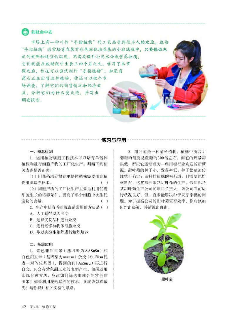 人教版生物选修3高清教材_4-教培资料-26年最新资料-同步更新_初中高中教资_03科三专项（进去保存报考的学科即可）_02科三专项（笔记真题思维导图教学设计版本二）