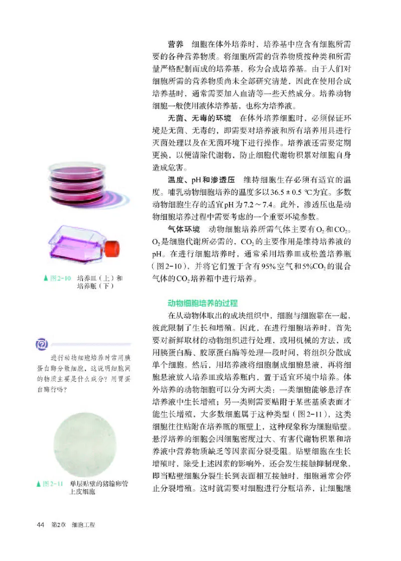 人教版生物选修3高清教材_4-教培资料-26年最新资料-同步更新_初中高中教资_03科三专项（进去保存报考的学科即可）_02科三专项（笔记真题思维导图教学设计版本二）