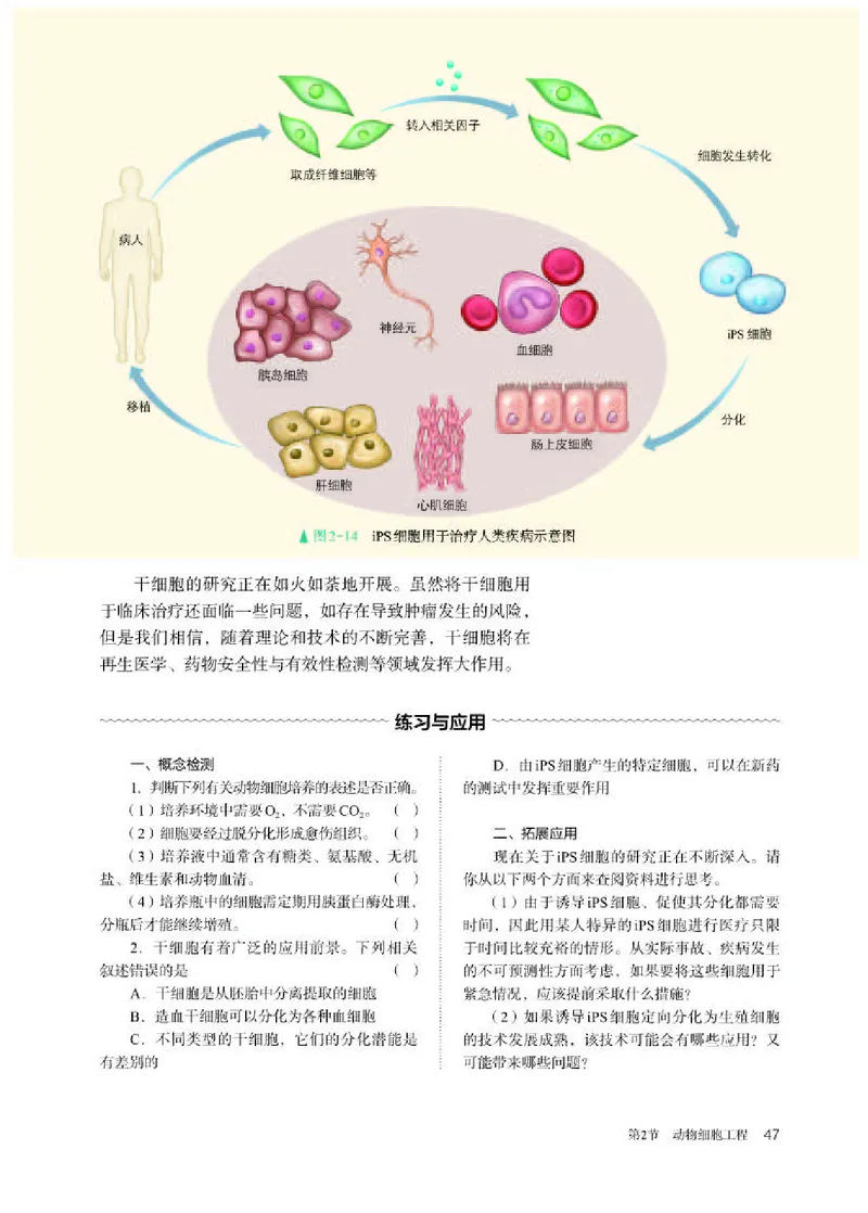 人教版生物选修3高清教材_4-教培资料-26年最新资料-同步更新_初中高中教资_03科三专项（进去保存报考的学科即可）_02科三专项（笔记真题思维导图教学设计版本二）