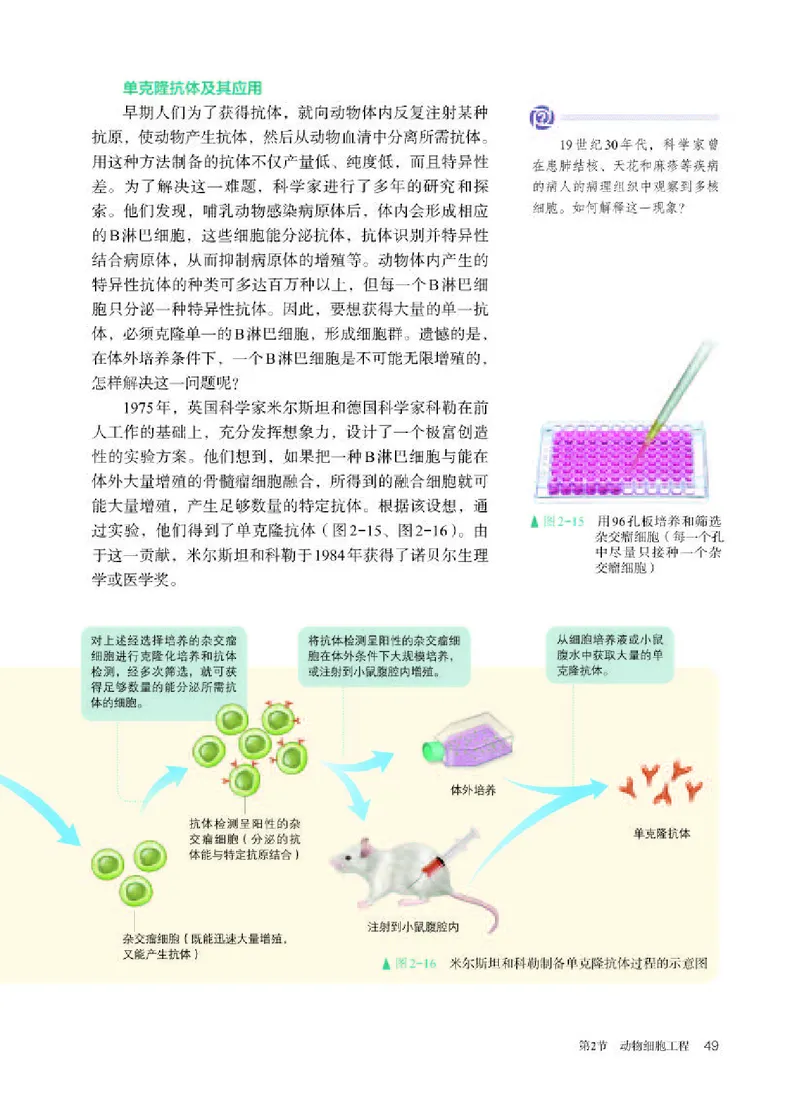 人教版生物选修3高清教材_4-教培资料-26年最新资料-同步更新_初中高中教资_03科三专项（进去保存报考的学科即可）_02科三专项（笔记真题思维导图教学设计版本二）