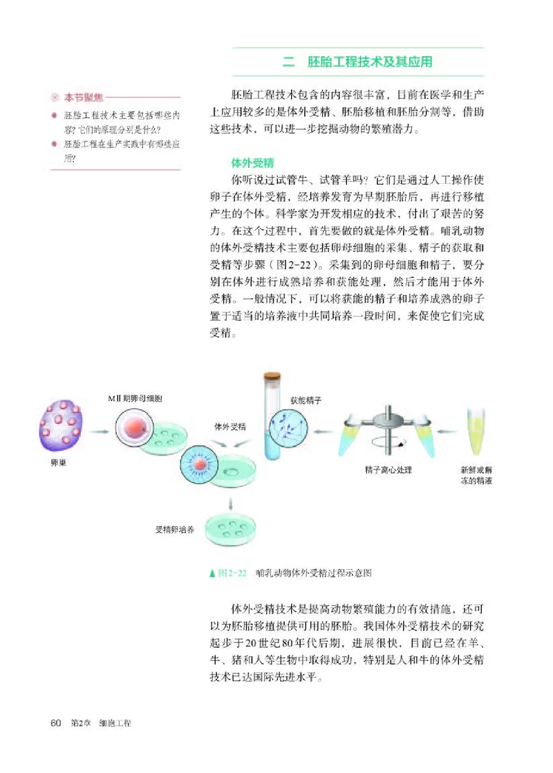 人教版生物选修3高清教材_4-教培资料-26年最新资料-同步更新_初中高中教资_03科三专项（进去保存报考的学科即可）_02科三专项（笔记真题思维导图教学设计版本二）