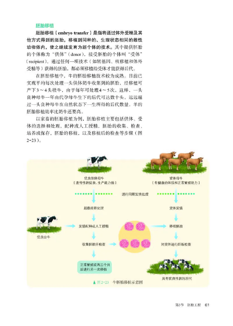 人教版生物选修3高清教材_4-教培资料-26年最新资料-同步更新_初中高中教资_03科三专项（进去保存报考的学科即可）_02科三专项（笔记真题思维导图教学设计版本二）