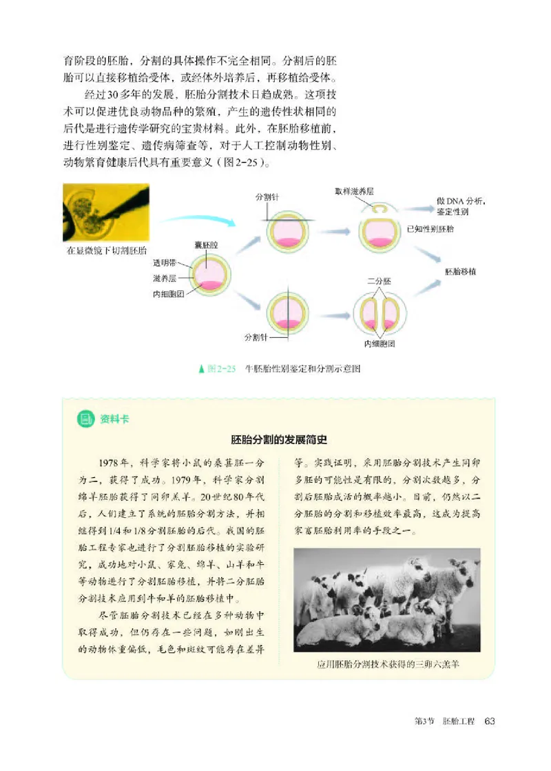 人教版生物选修3高清教材_4-教培资料-26年最新资料-同步更新_初中高中教资_03科三专项（进去保存报考的学科即可）_02科三专项（笔记真题思维导图教学设计版本二）