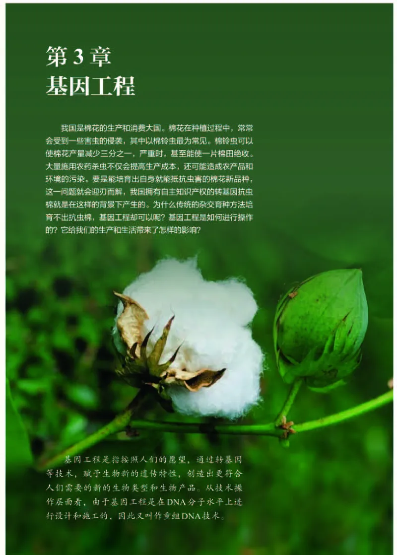 人教版生物选修3高清教材_4-教培资料-26年最新资料-同步更新_初中高中教资_03科三专项（进去保存报考的学科即可）_02科三专项（笔记真题思维导图教学设计版本二）