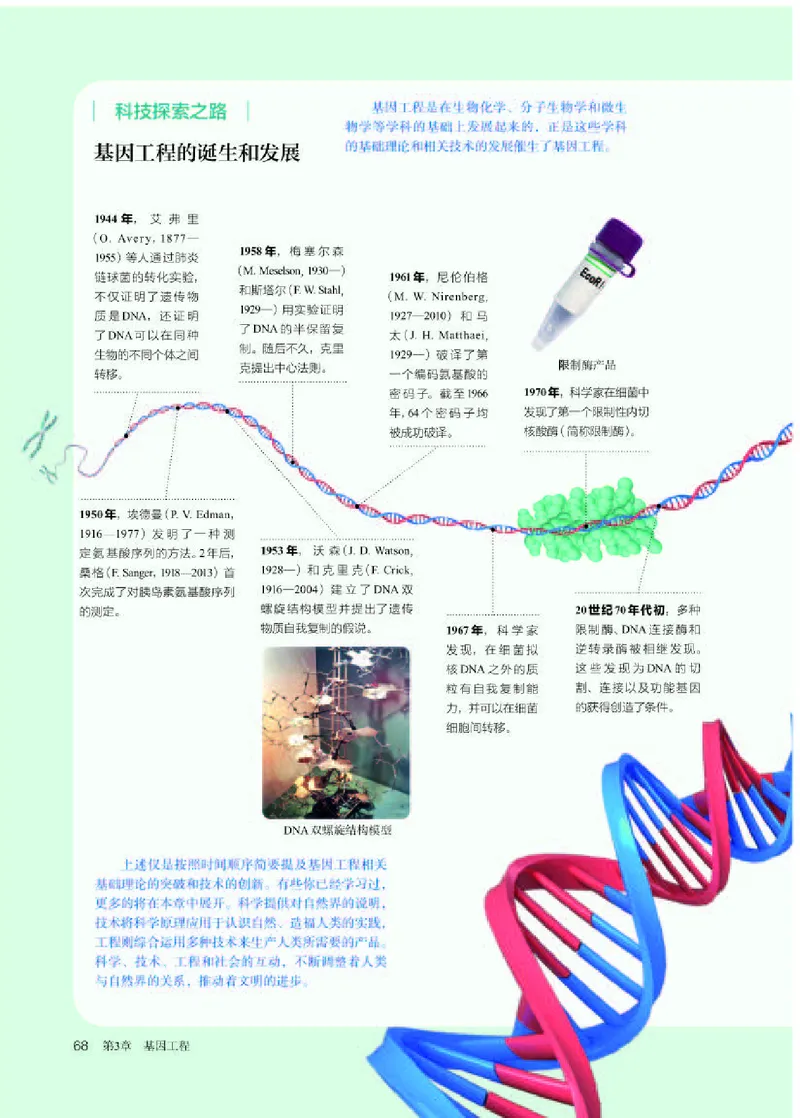 人教版生物选修3高清教材_4-教培资料-26年最新资料-同步更新_初中高中教资_03科三专项（进去保存报考的学科即可）_02科三专项（笔记真题思维导图教学设计版本二）