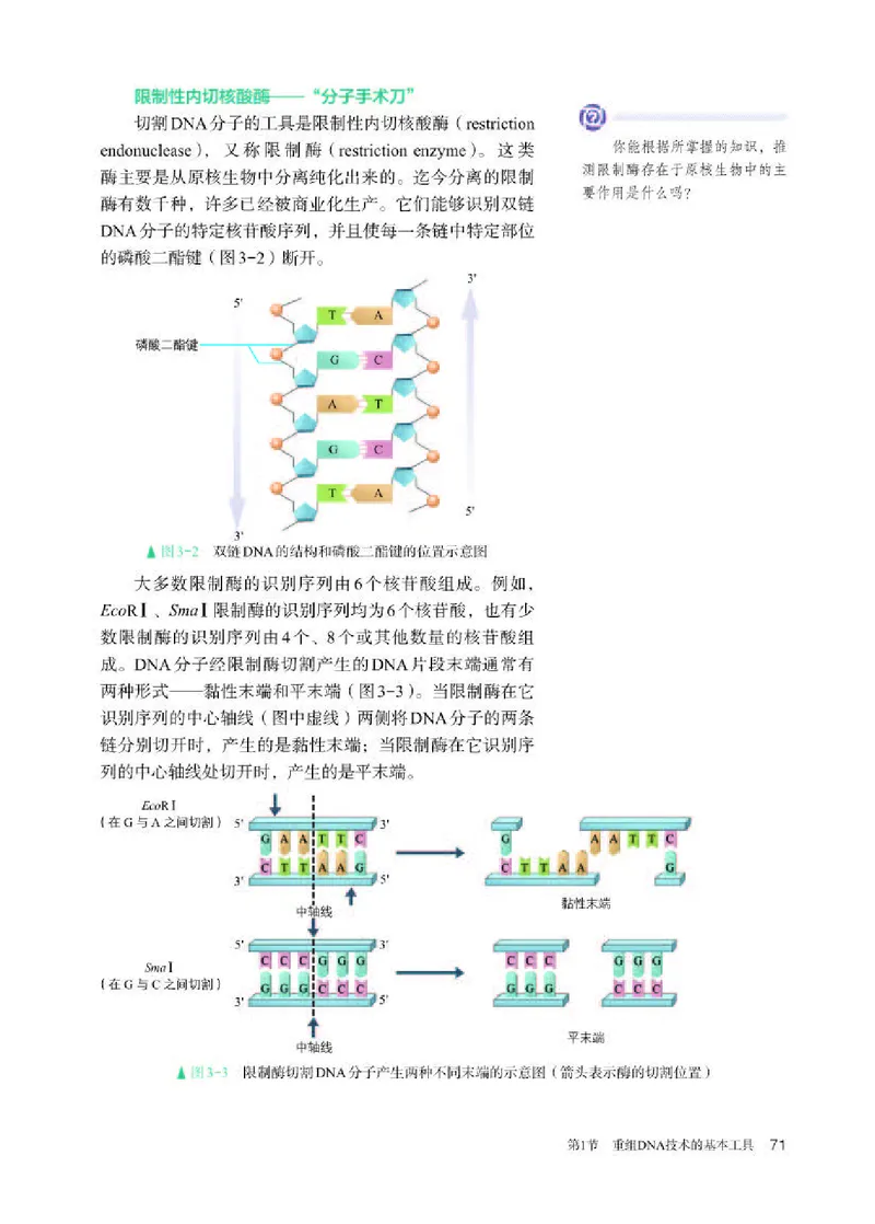 人教版生物选修3高清教材_4-教培资料-26年最新资料-同步更新_初中高中教资_03科三专项（进去保存报考的学科即可）_02科三专项（笔记真题思维导图教学设计版本二）
