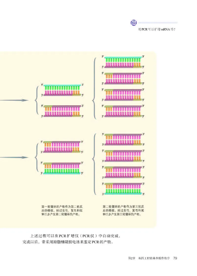 人教版生物选修3高清教材_4-教培资料-26年最新资料-同步更新_初中高中教资_03科三专项（进去保存报考的学科即可）_02科三专项（笔记真题思维导图教学设计版本二）