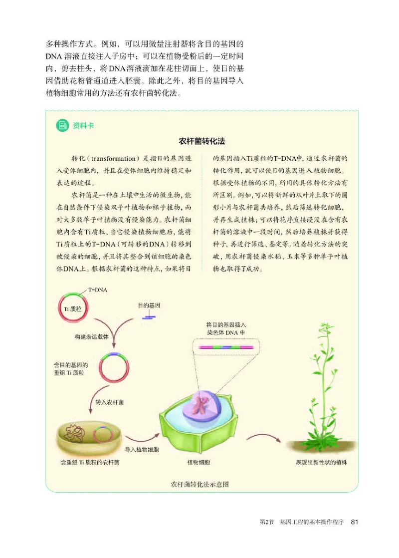 人教版生物选修3高清教材_4-教培资料-26年最新资料-同步更新_初中高中教资_03科三专项（进去保存报考的学科即可）_02科三专项（笔记真题思维导图教学设计版本二）