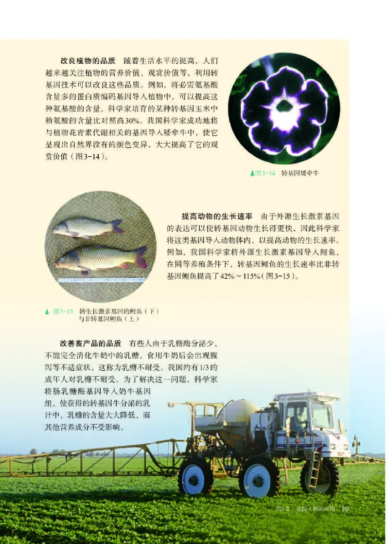 人教版生物选修3高清教材_4-教培资料-26年最新资料-同步更新_初中高中教资_03科三专项（进去保存报考的学科即可）_02科三专项（笔记真题思维导图教学设计版本二）