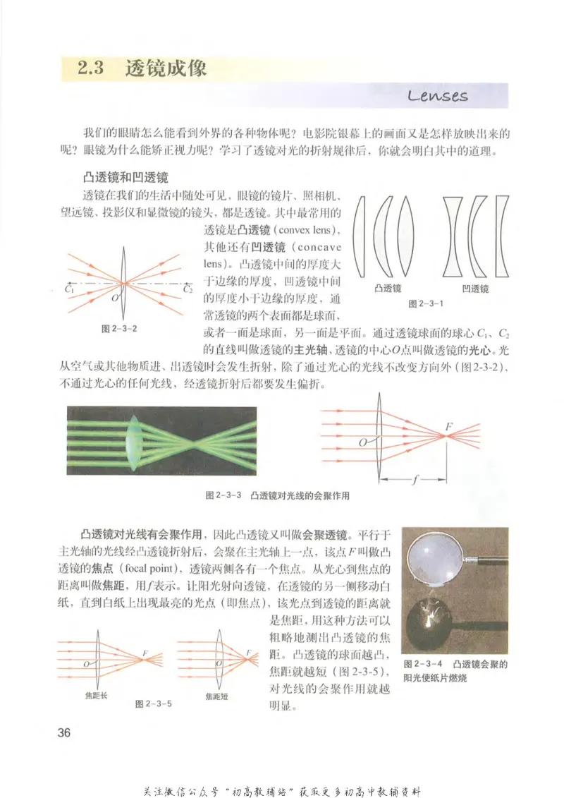 八年级上册物理沪教版电子课本_4-教培资料-26年最新资料-同步更新_初中高中教资_03科三专项（进去保存报考的学科即可）_02科三专项（笔记真题思维导图教学设计版本二）